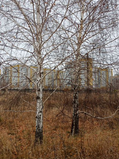 Участок 6,2 сот. (СНТ, ДНП)