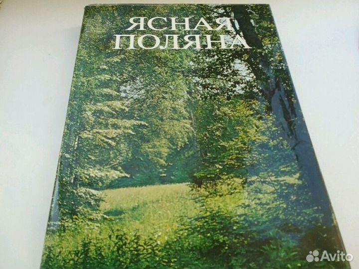 Альбомы