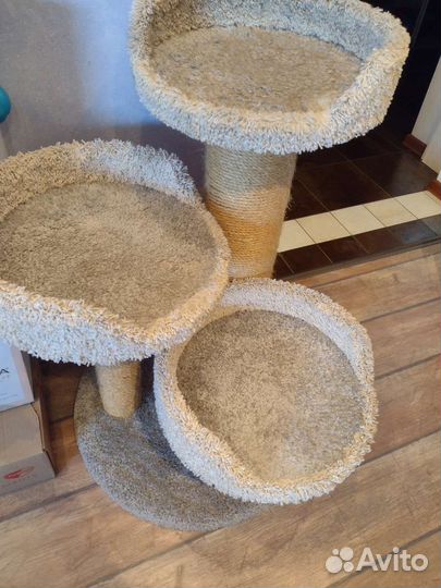 Когтеточка