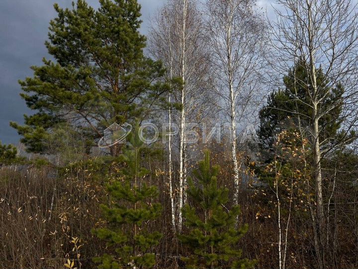 Участок 12,5 сот. (ИЖС)