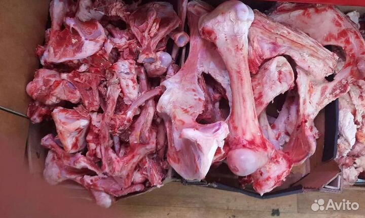 Кости для собак