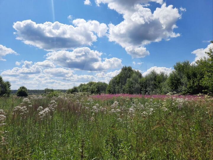 Участок 32 сот. (СНТ, ДНП)