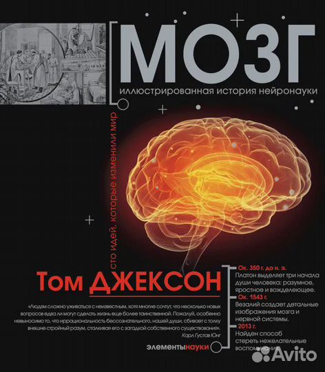 Мозг Джексон Том