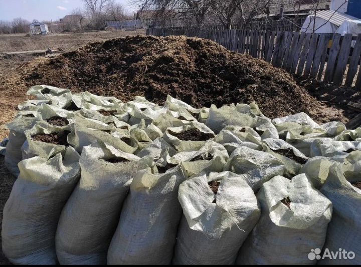 Конский перегной