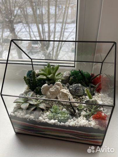 Флорариум подарок