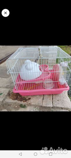 Игрушки для грызунов