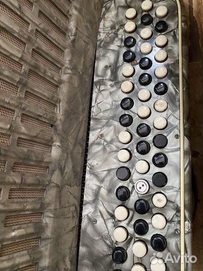 Баян weltmeister