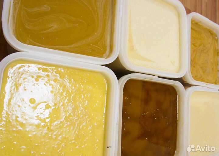 2024 Мед натуральный из Алтая оптом