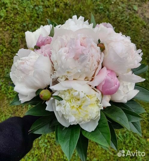 Свадебный букет невесты