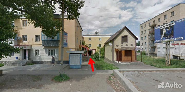 Волнистые Попугаи