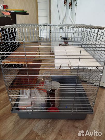Клетка для грызунов большая