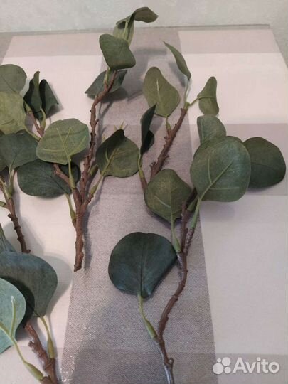 Искусственные растения икеа смикка эвкалипт