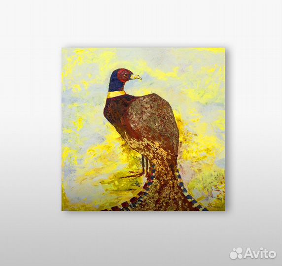 Картина, Фазан, холст масло, 70х70