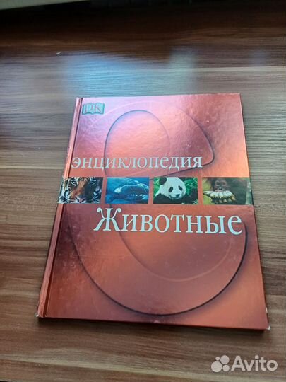 Познавательные Книги для детей