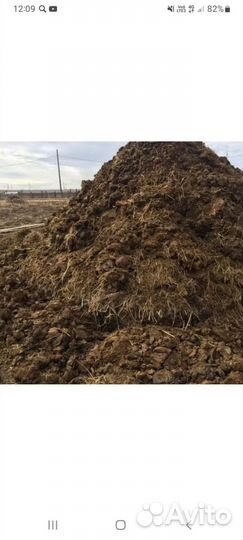 Навоз свежий