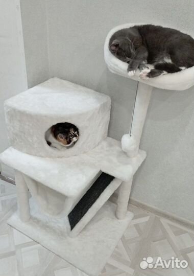 Домик для кошки с когтеточкой