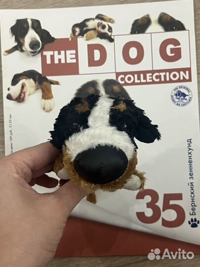 Бернский зенненхунд The Dog Collection