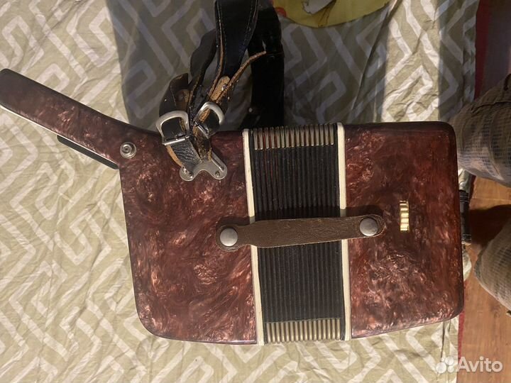 Гармонь, аккордеон березка три четверти