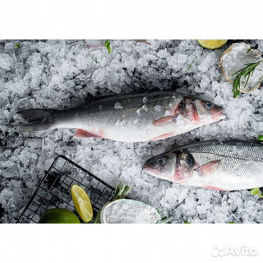 Сибас Дорадо Семга Лосось Креветки