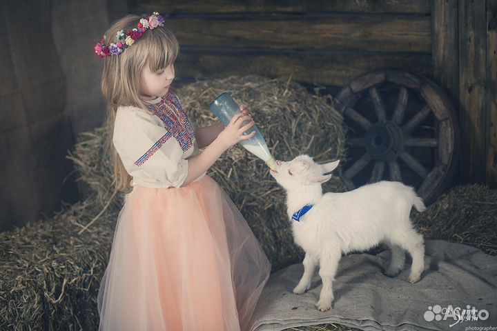 Молоко козье с доставкой