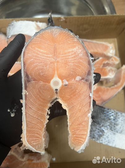 Стейки Семги (Лосося)