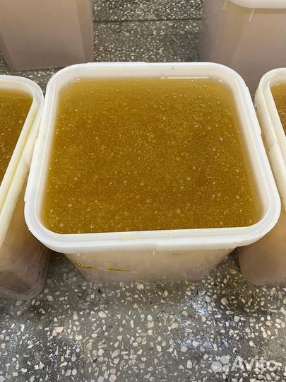 Оптом мед донник