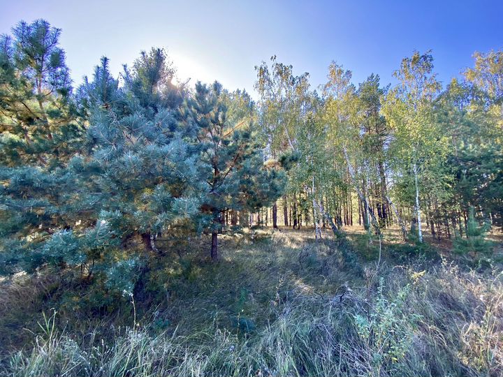 Участок 9 сот. (ИЖС)