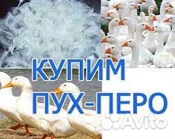 Пух/перо,подушки/перины(б/у),перо свежее дом.птицы