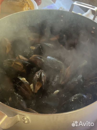 Мидии черноморские