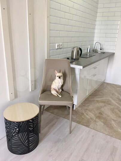 Квартира-студия, 22,9 м², 10/17 эт.