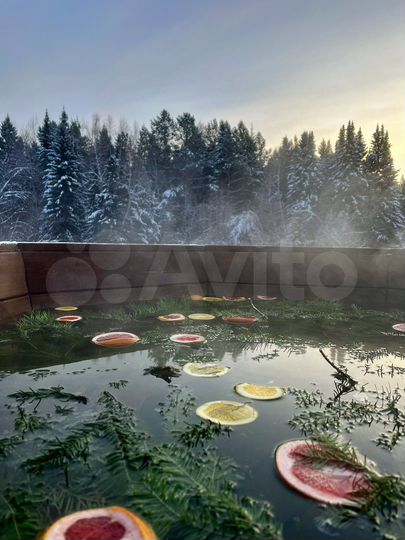 Дом 70 м² на участке 20 сот.