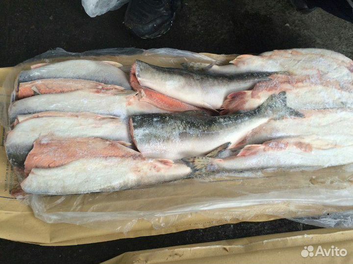 Свежемороженая горбуша