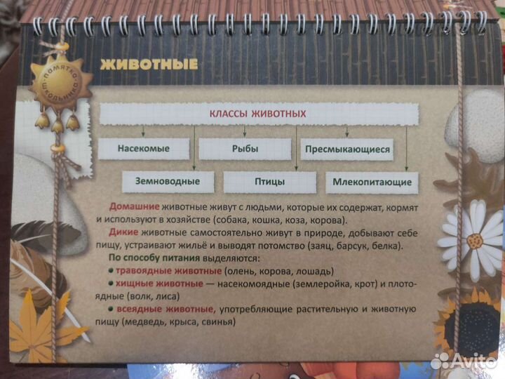 Памятка школьника