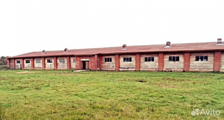 Животноводческая ферма