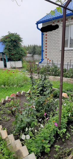 Дом 77 м² на участке 8 сот.