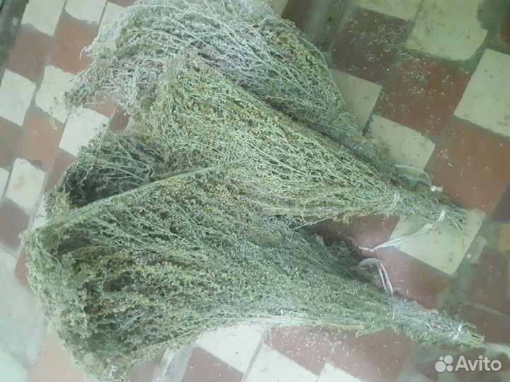 Полынь для бани