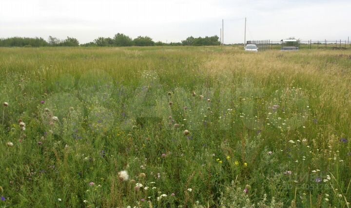 Участок 9 сот. (ИЖС)