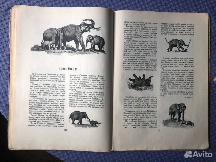 Детский альманах «Круглый год», 1954 - Редкость