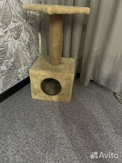 Когтеточка