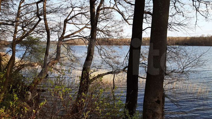 Участок 1,01 га (СНТ, ДНП)