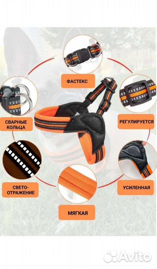 Анатомическая шлейка для собак Мони