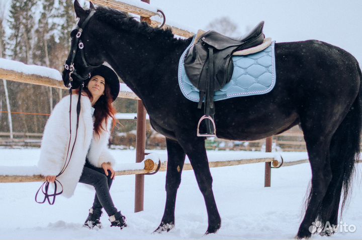 Лошадь для фотосессий