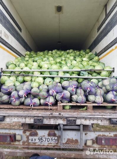 Капуста оптом сетевое качество без посредников