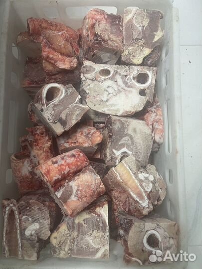 Лакомства для собак, корм для собак