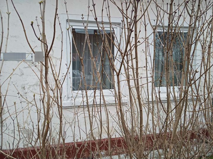 2-к. квартира, 59 м², 1/2 эт.