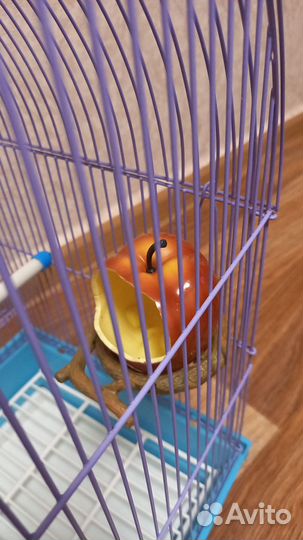 Клетка для птиц