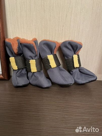 Обувь для собак мелких пород