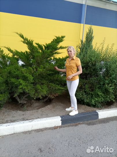 Любая работа. Стройка