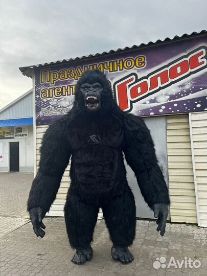 Кинг-конг,горилла для брутального поздравления