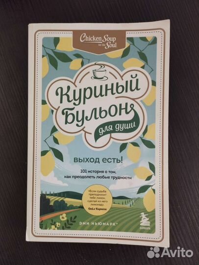 Книги Куриный бульон для души